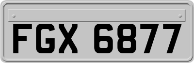 FGX6877