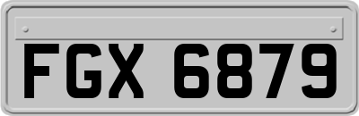 FGX6879