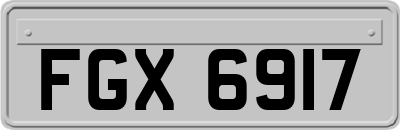 FGX6917