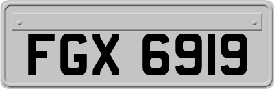 FGX6919