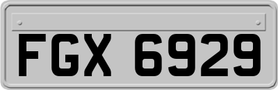 FGX6929