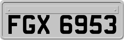 FGX6953