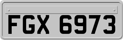 FGX6973