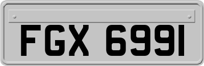 FGX6991