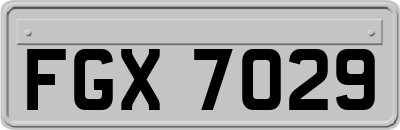 FGX7029