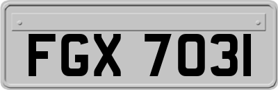 FGX7031