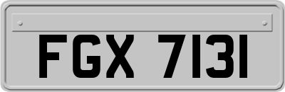 FGX7131