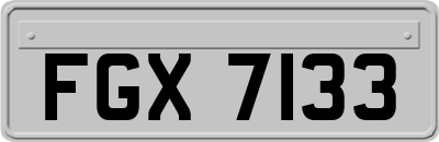 FGX7133