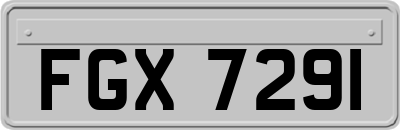FGX7291