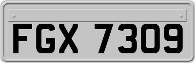 FGX7309