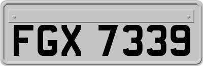 FGX7339
