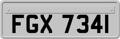 FGX7341