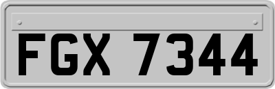 FGX7344