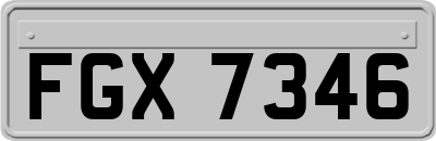 FGX7346