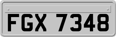 FGX7348