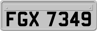 FGX7349