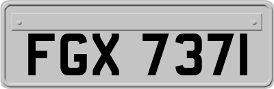 FGX7371
