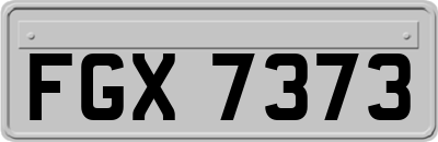 FGX7373