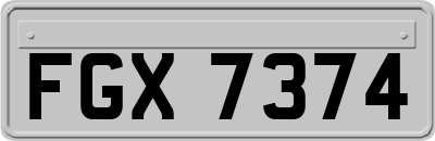 FGX7374