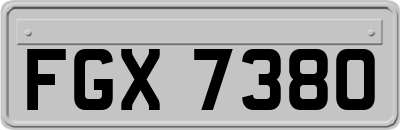 FGX7380