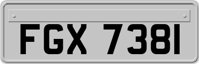 FGX7381