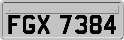 FGX7384