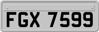 FGX7599