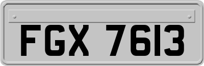 FGX7613