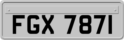 FGX7871
