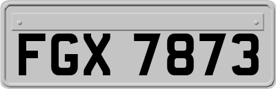 FGX7873