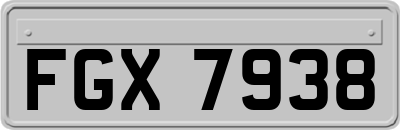 FGX7938