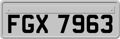 FGX7963