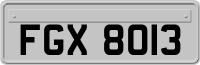 FGX8013