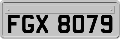 FGX8079