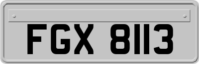 FGX8113