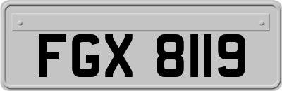 FGX8119