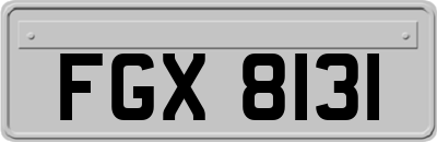 FGX8131