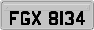 FGX8134