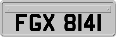 FGX8141