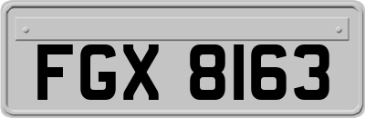 FGX8163