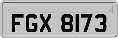 FGX8173