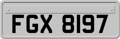 FGX8197