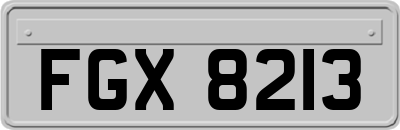 FGX8213