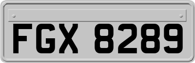 FGX8289