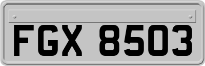 FGX8503