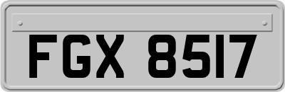 FGX8517