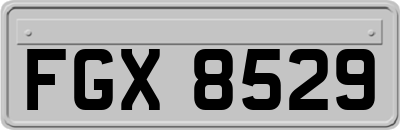 FGX8529