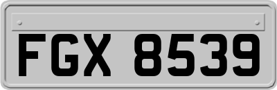 FGX8539