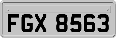 FGX8563
