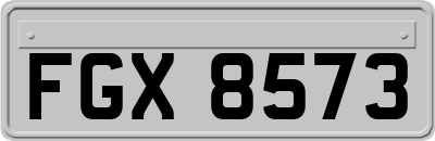 FGX8573